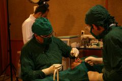 Second Osteology Symposium_110