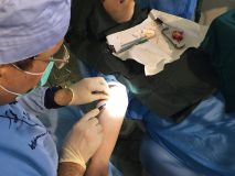 Fundamental of GBR with live surgery